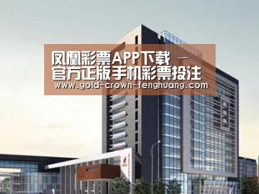 案例展示七