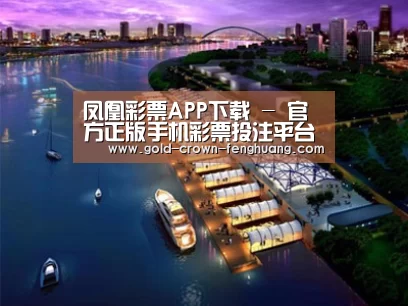 案例展示八